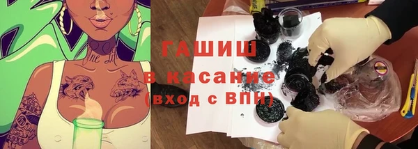 стаф Новозыбков