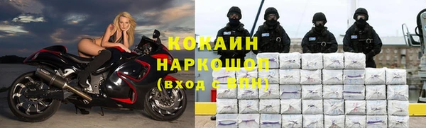 стаф Новозыбков