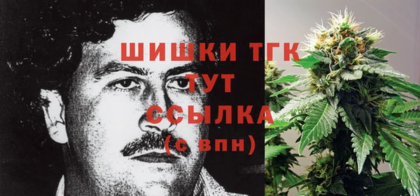 ГАЛЛЮЦИНОГЕННЫЕ ГРИБЫ Новодвинск