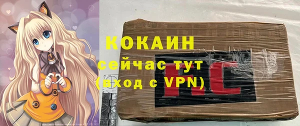 ГАЛЛЮЦИНОГЕННЫЕ ГРИБЫ Новодвинск