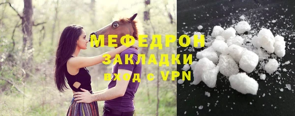 стаф Новозыбков