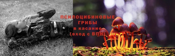 ГАЛЛЮЦИНОГЕННЫЕ ГРИБЫ Новодвинск