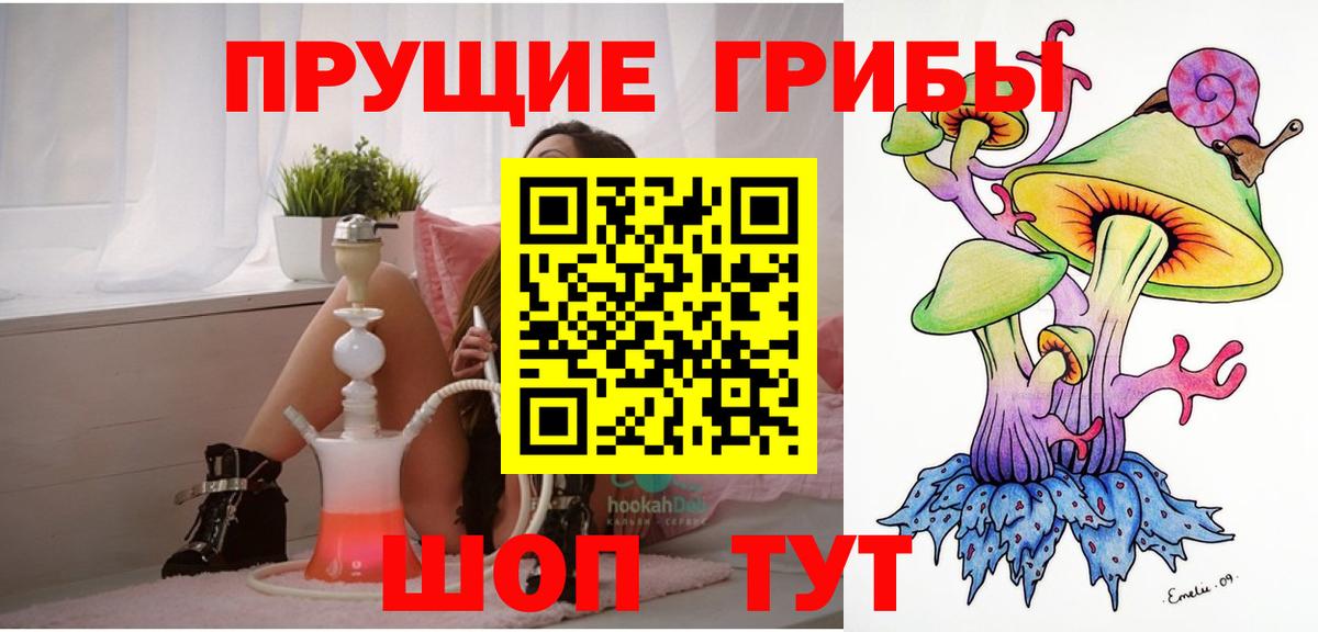 закладки  Вход с VPN  Ярославль  Галлюциногенные грибы Psilocybine cubensis 