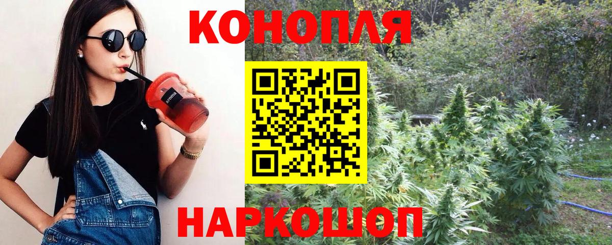 Бошки Шишки Amnesia Ярославль